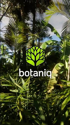 botaniq 7.1 features overview