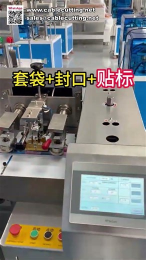 Automatic Packaging Solution Bagging Sealing and Labeling Machine All in One Packaging System