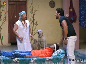 2.4M views · 91K reactions | कुत्ते और बंदर ने कैसे रोका खेसारी की गाड़ी को देखिए वीडियो।। #new #love #comedy #goviral #bhojpuri #viralvideo #actionvideo #Yashi_films #trendingvideo | IVY Yashi Films Action | Facebook