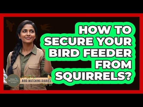 How To Secure Your Bird Feeder From Squirrels?