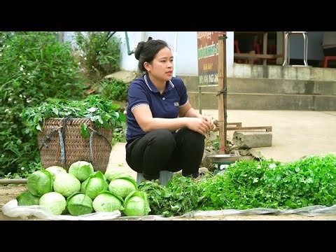 The Art Of Simple Living: Harvesting Fresh Bounty And Caring For My Animals