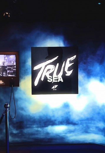 Best Avicii Songs: Share Your Favorite Track