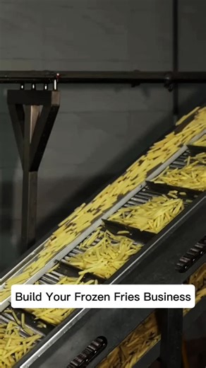 The Journey of Frozen Fries: From Field to Factory