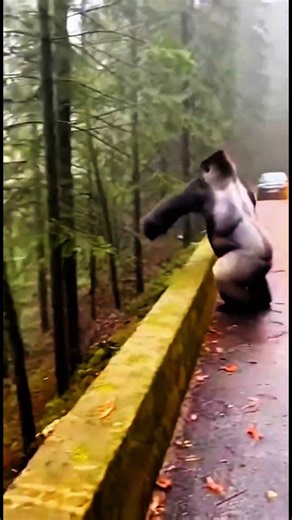 The Future of Wildlife: AI Animals