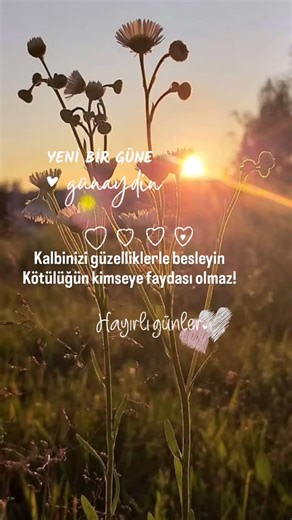 Şaziye Kaynar on Instagram: "Yeni bir güne günaydın 🫶🏻#günaydııın #günaydınmesajları #gününkaresi #gününsözü #sabahsabah"