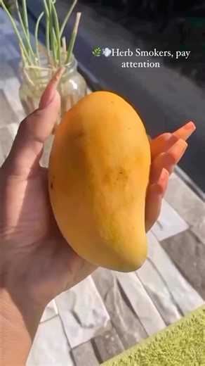 Hightextz / 💨 meme page | Follow to fix your algorithm 💨 | Instagram