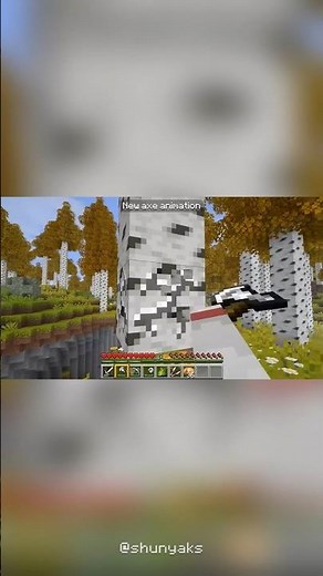 Locomotion is the best first-person animation mod