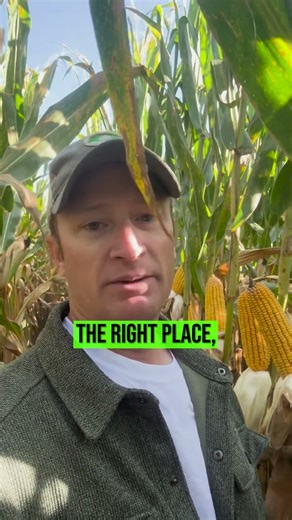 Does liquid fertilizer work?