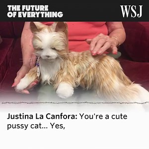 69K views · 61 reactions | Meet the next generation of very friendly...