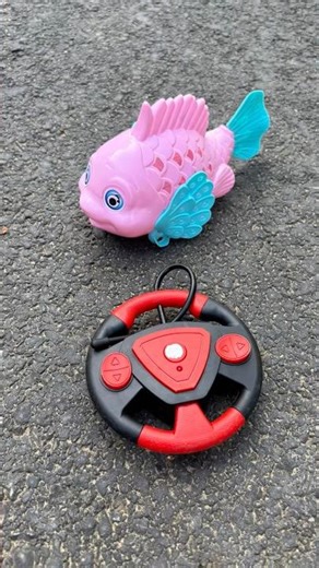 Remote Control Fish Unboxin & Review 🤪