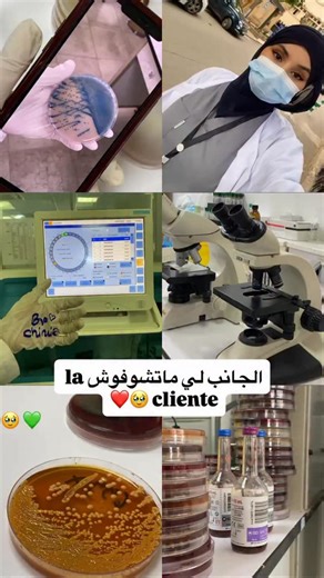 reems store 🏩 on Instagram‎: "الحمدلله حمداً كثيرا ❤️ . . . . . #stickers #trending #gifts #sticker #trendingreels #girls #sticker #carte #streetstyle #cadeux #streetstyle #street"‎