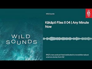 Kākāpō Files II 04 | Any Minute Now | Wild Sounds