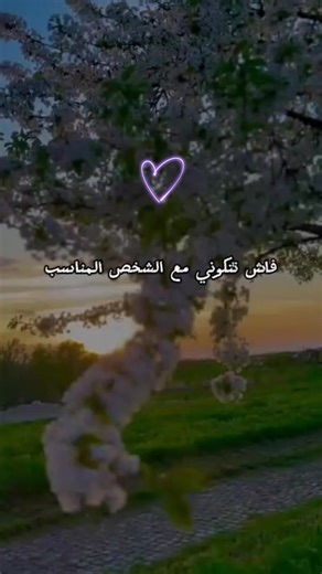 #شكيليطات_حرات🍫🤤 #شكيليطات🍫 #بسم_الله_ماشاء_الله #foryoupage #viraltiktok