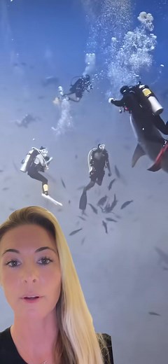 31K views · 731 reactions | SHARK BITE EXPLAINED AND VERY IMPORTANT SHARK SAFETY INFO EVERYONE SH... - | Ocean Ramsey | Facebook