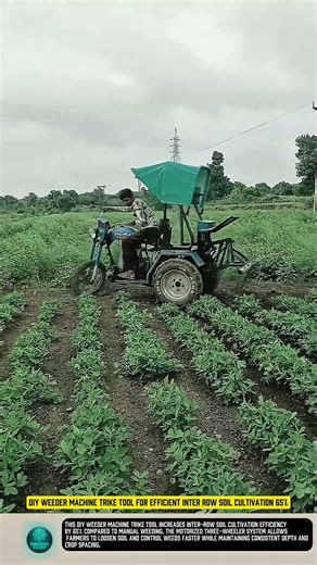 DIY Weeder Machine Trike Tool for Efficient Inter Row Soil Cultivation 65%