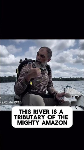 The Endangered Zebra Pleco: A Native of the Xingu River