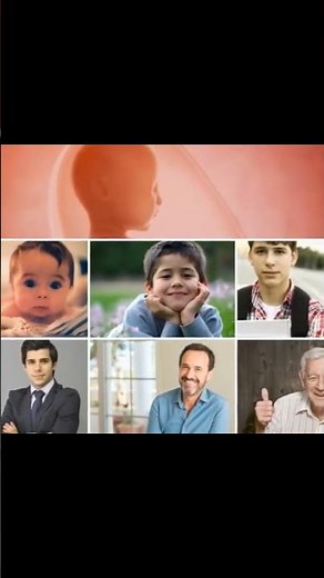 Etapas del desarrollo humano #psicologia, #ciencia,#educacion ,#