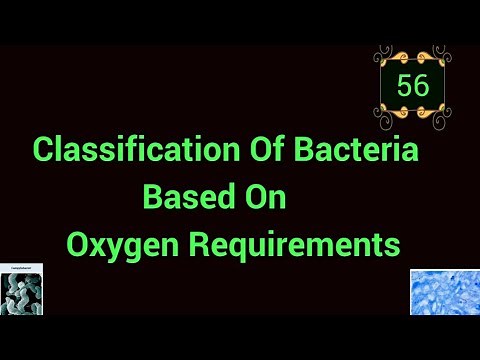 Classification Of Bacteria Based On Oxygen Requirements ‪@EnteMicrobialWorld‬#microbiology #microbes