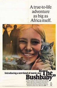 The Bushbaby - Movie