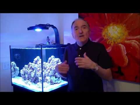 Eco Smart Live - Setup/Scheduling menu's (Radion)