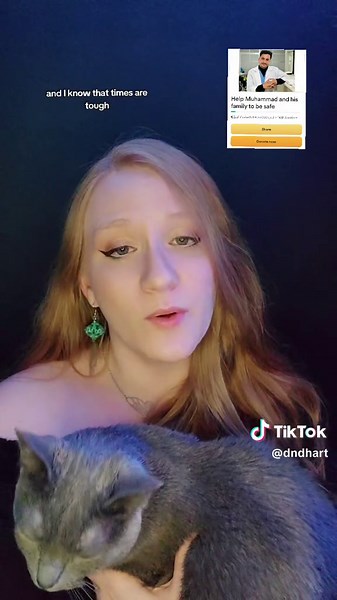 Heartwarming Kitty Boops Compilation