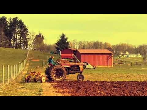 Farmall 560 earns it keep at spring plowing!!