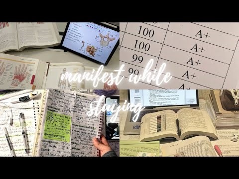PLAY THIS WHILE STUDYING | focus, memory & good grades
