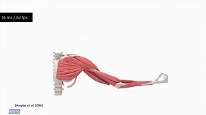 实时肌肉模拟技术