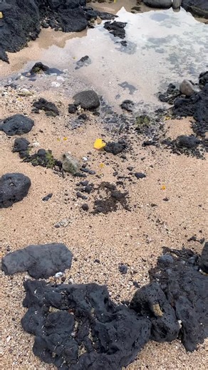 This Qoute Keeps Running through my mind lately “You wouldn’t even know a Diamond if you held it in your hand. The things you think are precious I can’t understand.” Why? Maybe just for being reminded of Who and What I Value in this life. Do we know the people and things that Bring Value to ourselves and others? Are we recognizing them in the rough form and not just the shiny form? And are we willing to sit with what is Valuable, work with them and polish them, until it really does shine as A Ge