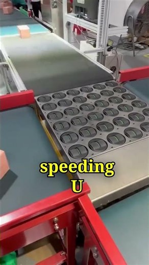 Fast Sorting Robot Machine