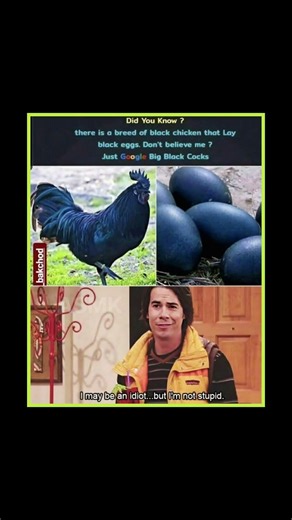 Option 1 (Clickbait): The Internet tried to trick me... but I’m one step ahead. 😂 #viral