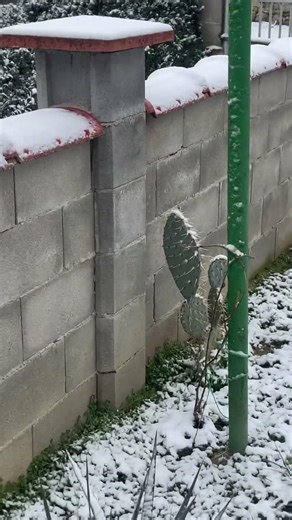 Болгария. Замерзаем#shortvideo #schort