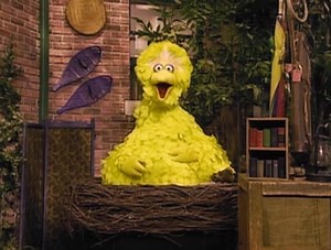 The holidays can be a little stressful. Don't forget to take a nap. That goes for the grown-ups too! 💤 | Big Bird