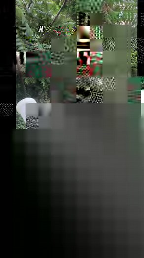 1.7K views · 12 reactions | The Drizzle D1 LVLP paint gun is a great spray gun to help keep cost and overspray down! The INOKRAFT Drizzle D1 is a LVLP Game Changer Earns commissions Tik Tok Shop Sale https://www.tiktok.com/t/ZPRECbEEW/ Amazon Storefront https://amzn.to/4bJx2fV Linktree https://linktr.ee/burksgarage#burksgarage #truck #truckdriver #review #tool #tools #car #diy#burksunlimited #paintgun #paint #painter #bodyshop #toolant #drizzle | Burk’s Garage | Facebook