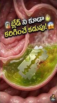 మన కడుపు యాసిడ్ ఇనుపను కరిగిస్తుందా? 😱 | Mind Blowing Human Body Facts Telugu#TeluguFacts