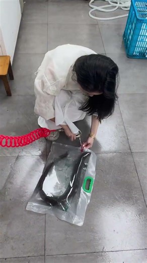 Amazing Fish Packing Process 🐟 Beautiful Girl at Work #Shorts