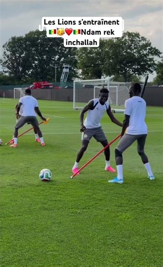 🇸🇳🇸🇳🇸🇳🇸🇳Go Lions 🦁❤️🔥 #buzz