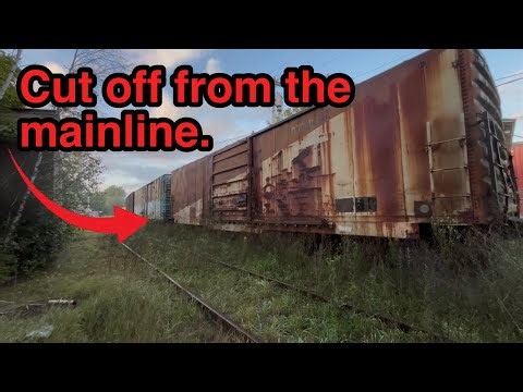 Train cars left behind by an abandoned railroad.