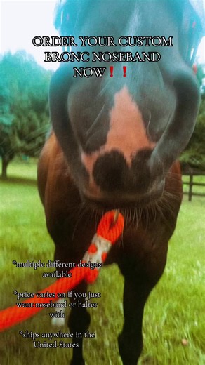 Lucky L Equine on TikTok