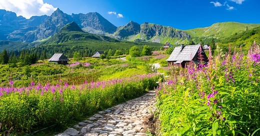 Najwyższe góry w Polsce: które szczyty zapierają dech w piersiach?