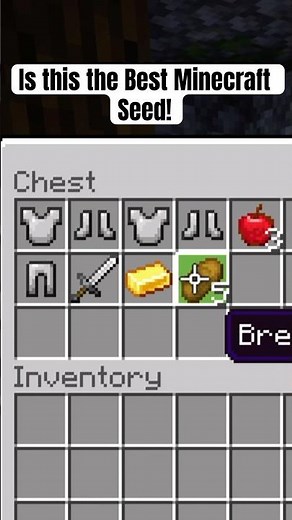 I Found the PERFECT Minecraft Bedrock 1.21 Seed!