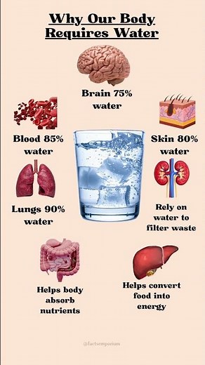 The Importance of Water in Our Body | Incredible Hydration Facts #healthylifestyle #healthtips
