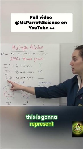 Blood Type Genetics: Understanding A, B, and O Alleles Explained #shorts