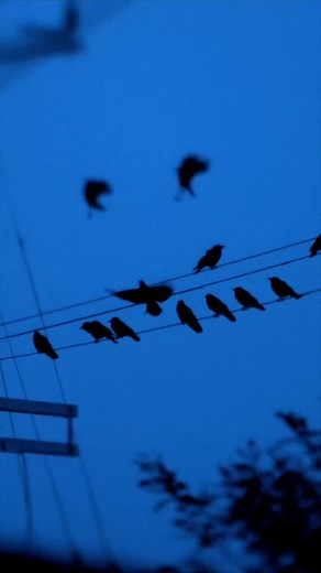 DEAD SPACE feat. Ramirez music video out at 3pm PST #haarper #ramirez #hiphop #rap #newmusic