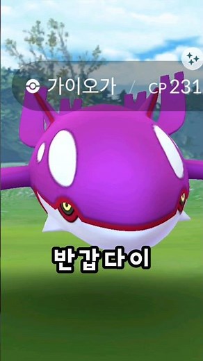 원시 가이오가 레이드데이! 이로치 가이오가는 과연? (포켓몬고, 포고)