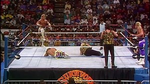 WWF Survivor Series: The Gravest Challenge 11/27/1991