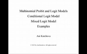 3.2 Multinomial Probit and Logit Models Example.mp4