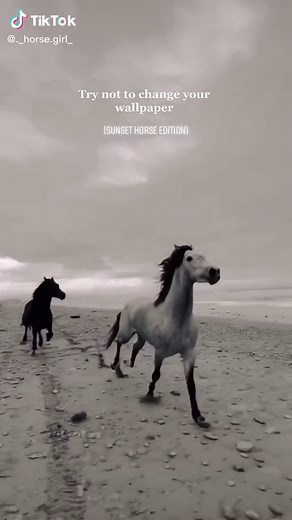 Sunset Horse Wallpaper Collection