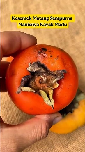 Surprised! This fruit is as sweet as honey, but is often underestimated!