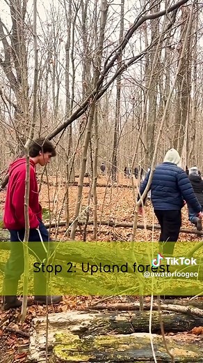 More footage from our ENVS 200 course! 🌱 Students went on a field trip to Spongy Lake to witness the ecological and geographical wonders of the Waterloo landscape. 🌲🍄‍🟫